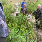 Сильні зливи затопили частину приміського села Вовчинець: фото, відео