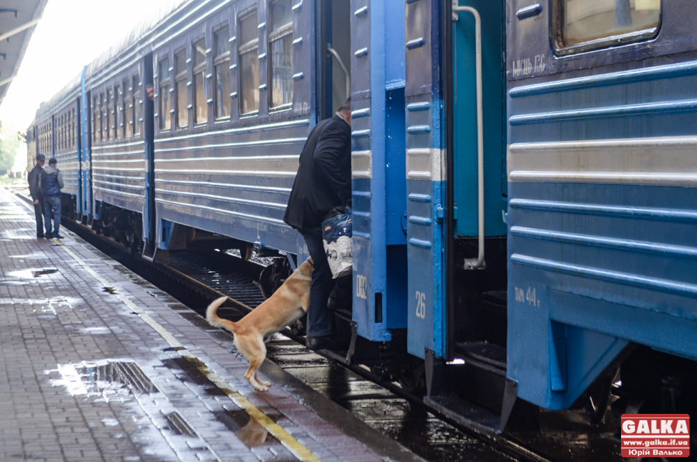 В Івано-Франківській області відновили роботу приміські дизель-поїзди