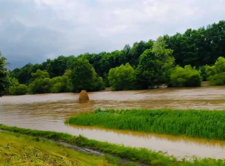 На Прикарпатті в потічку загинула пенсіонерка