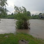 Внаслідок затяжних дощів змінився рівень Пруту у Коломиї: фото, відео