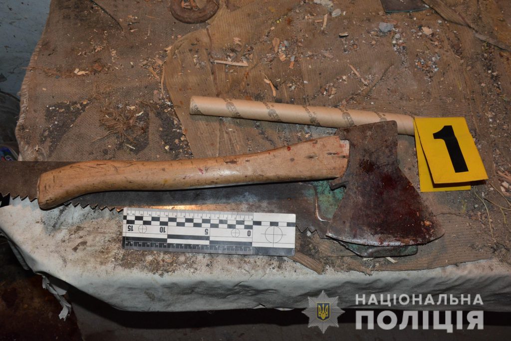 Прикарпатець, який вбив пенсіонерку та спалив її будинок, проведе 9 років за ґратами