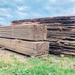 Лісгоспи Франківщини масово обшукують через незаконні рубки деревини ФОТОРЕПОРТАЖ