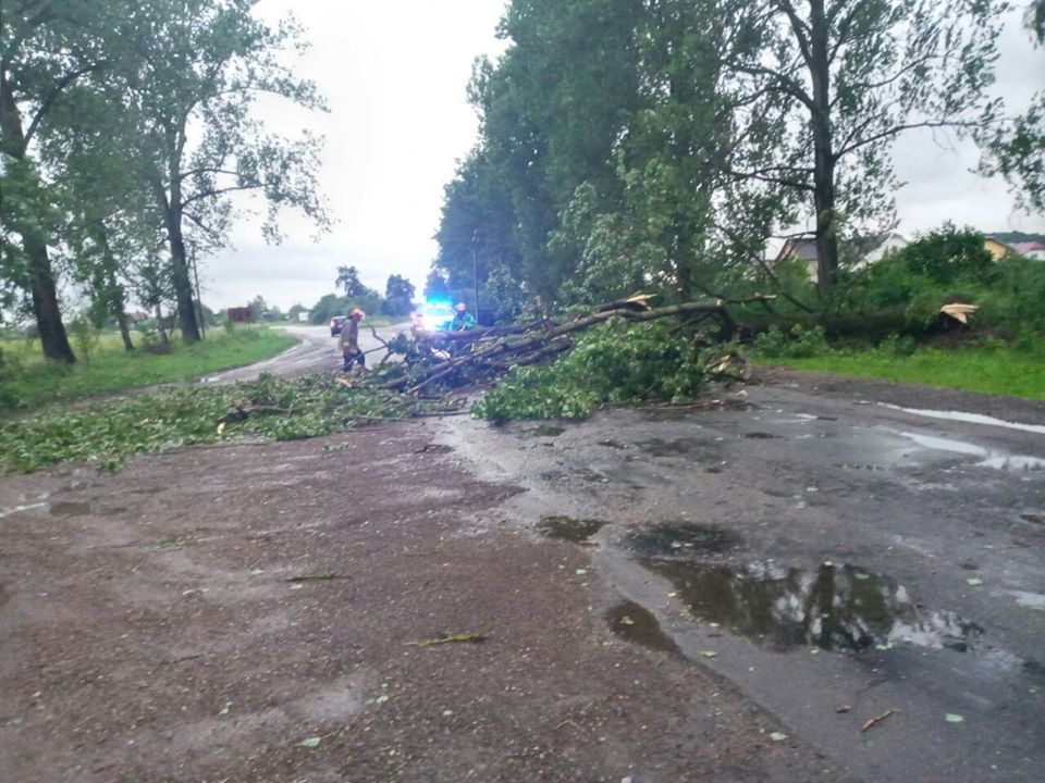 Прикарпатські рятувальники розрізали повалені стихією дерева