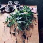 Амфетамін, таблетки, марихуана: чималий арсенал наркотиків виявили у помешканні прикарпатця ФОТО