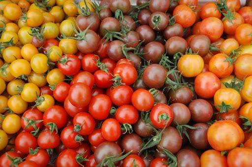 Різноманіття помідорів на Центральному ринку