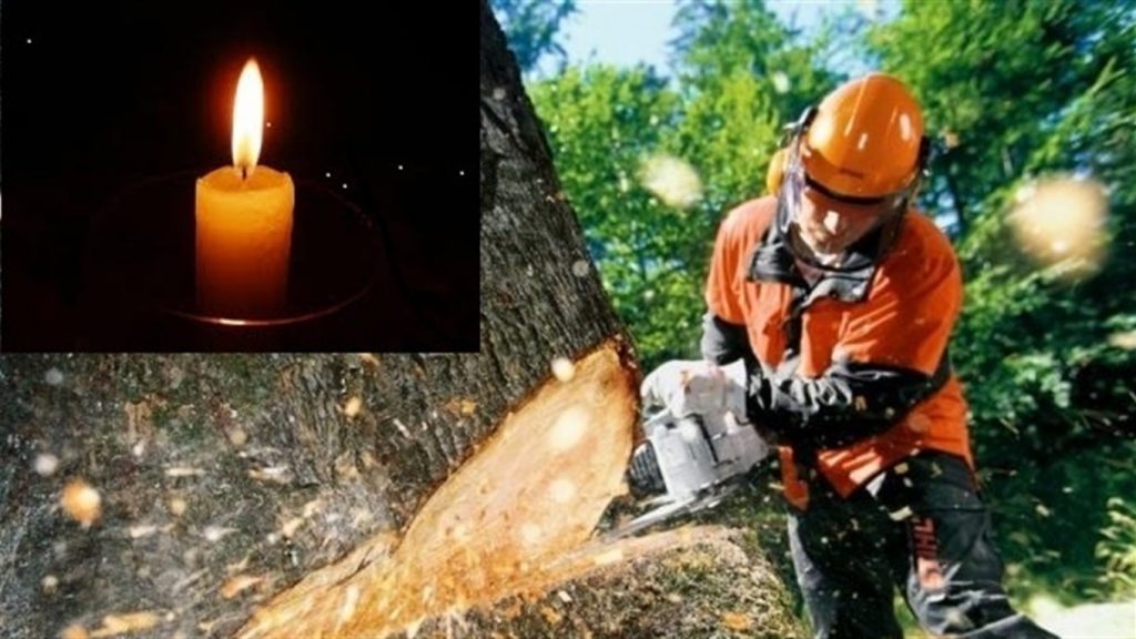 Через нещасний випадок на Прикарпатті загинув працівник Укрзалізниці - на нього упало дерево