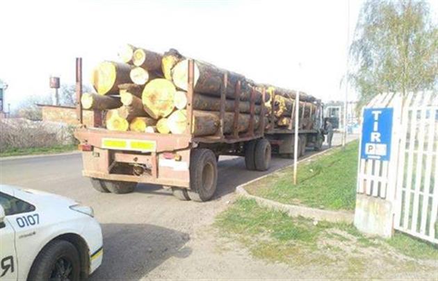 На Прикарпатті затримано вантажівку із лівим лісом
