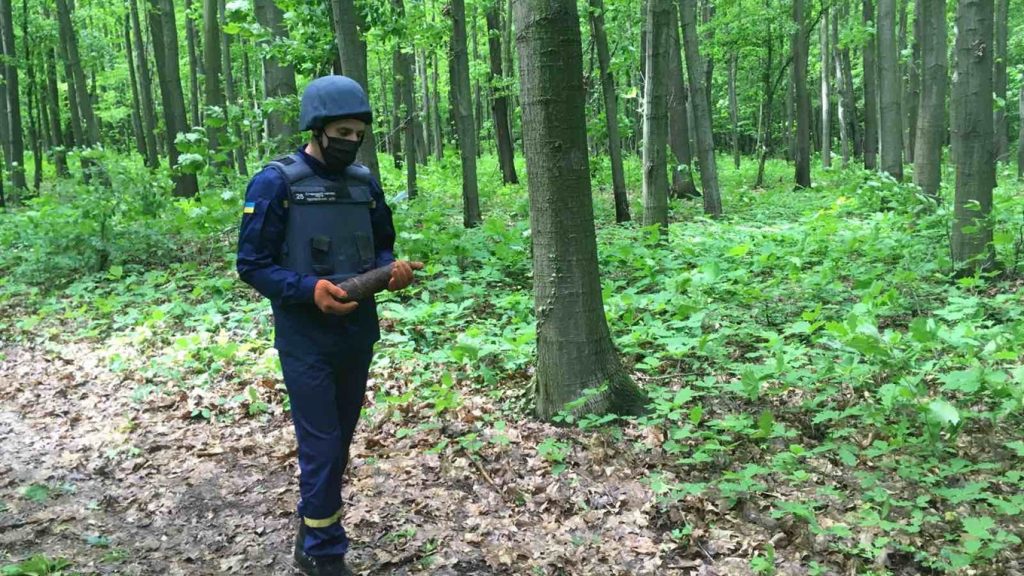 Разом із грибами прикарпатські грибники знаходять й інші знахідки, які на жаль можуть нести смерть