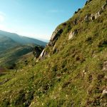 Прикарпатський гірський рятувальник показав як виглядає розквітла Чорногора ФОТОРЕПОРТАЖ