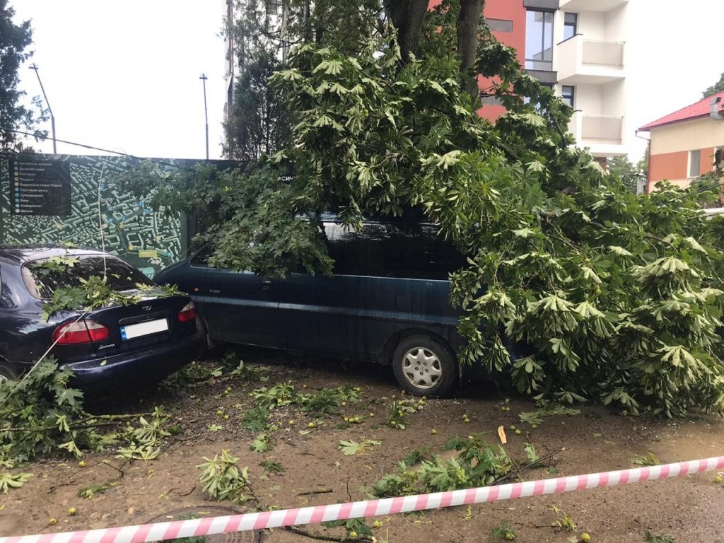 В Івано-Франківську дерево впало на автомобіль у якому перебували люди