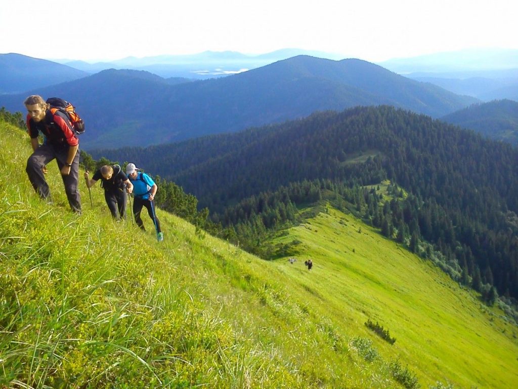 В Карпатах травмувався турист - на допомогу прийшли прикарпатські рятувальники