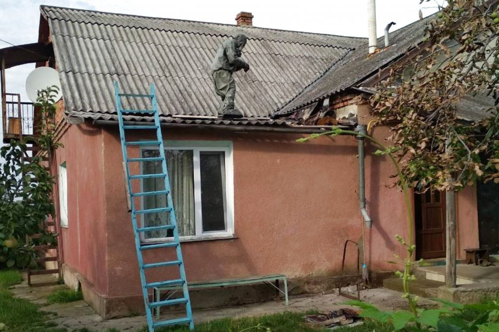 У Галицькому районі знадобилася допомога рятувальників, щоб ліквідувати гніздо шершнів