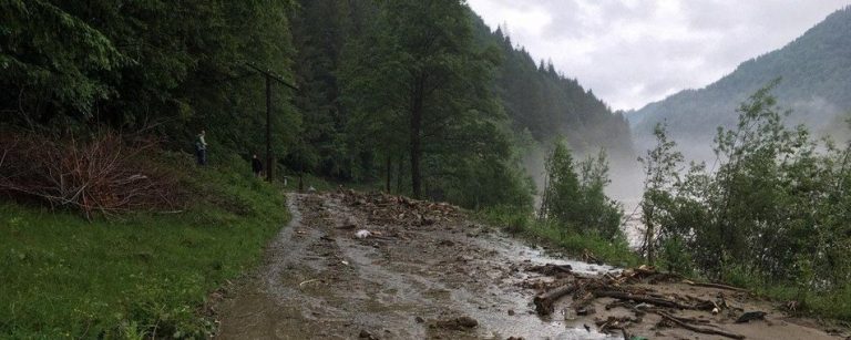 Повінь на Прикарпатті: ще із трьома гірськими селами відновили сполучення