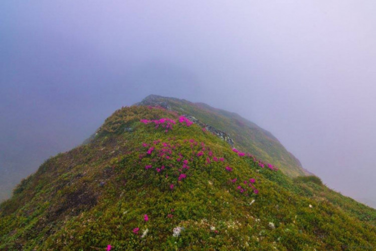 Якими мінливими й водночас красивими можуть бути краєвиди на вершинах Карпат: неймовірні фото