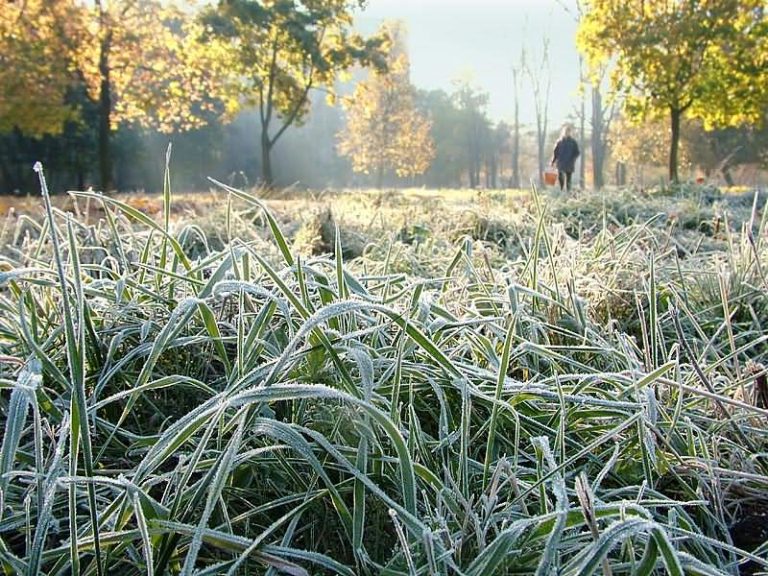 Очікуються заморозки: синоптики дали прогноз українцям на серпень