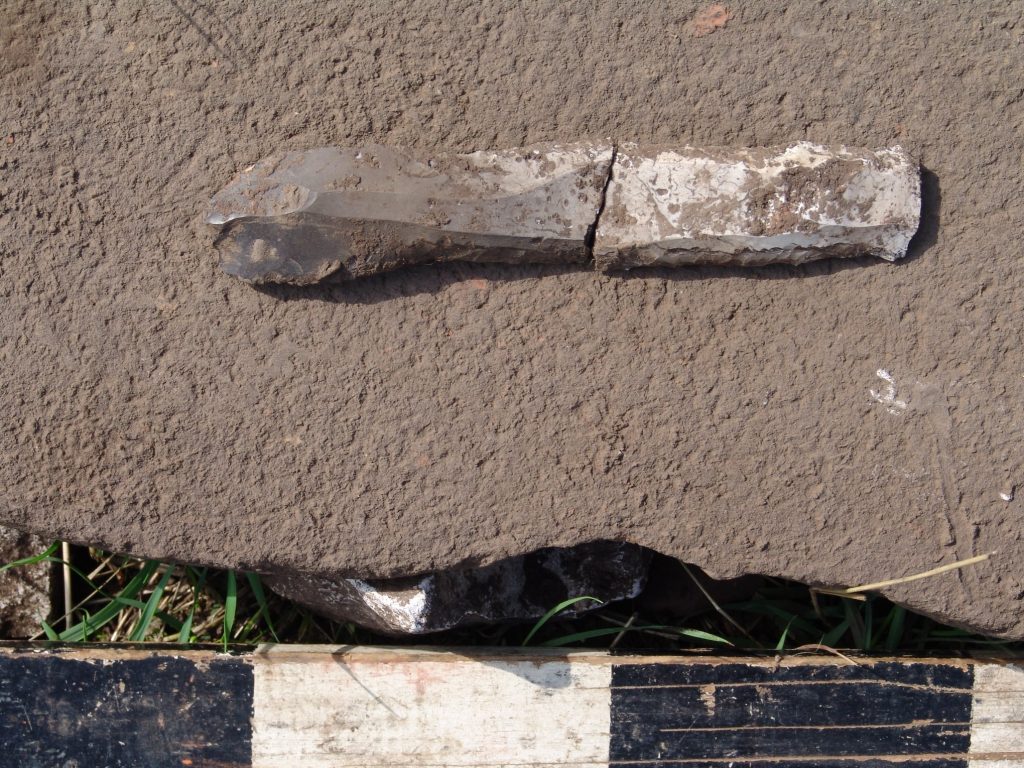 На Прикарпатті археологи знайшли фрагменти унікального трипільського поселення, датованого 4000 років до нашої ери