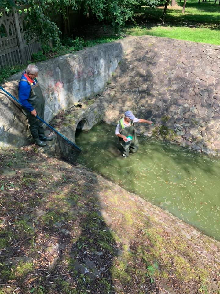 У Франківську розпочали очищувати озера від синьо-зелених водоростей