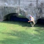 У Франківську розпочали очищувати озера від синьо-зелених водоростей