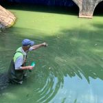 У Франківську розпочали очищувати озера від синьо-зелених водоростей