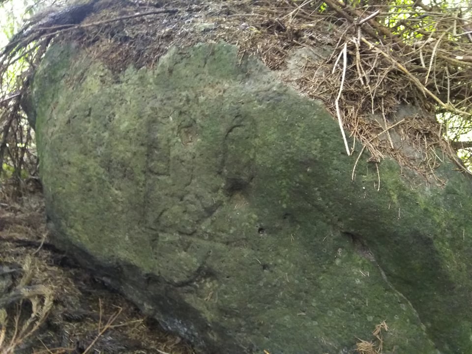 На Прикарпатті виявили столітні, вибиті на каменях зображення Тризуба ФОТОРЕПОРТАЖ