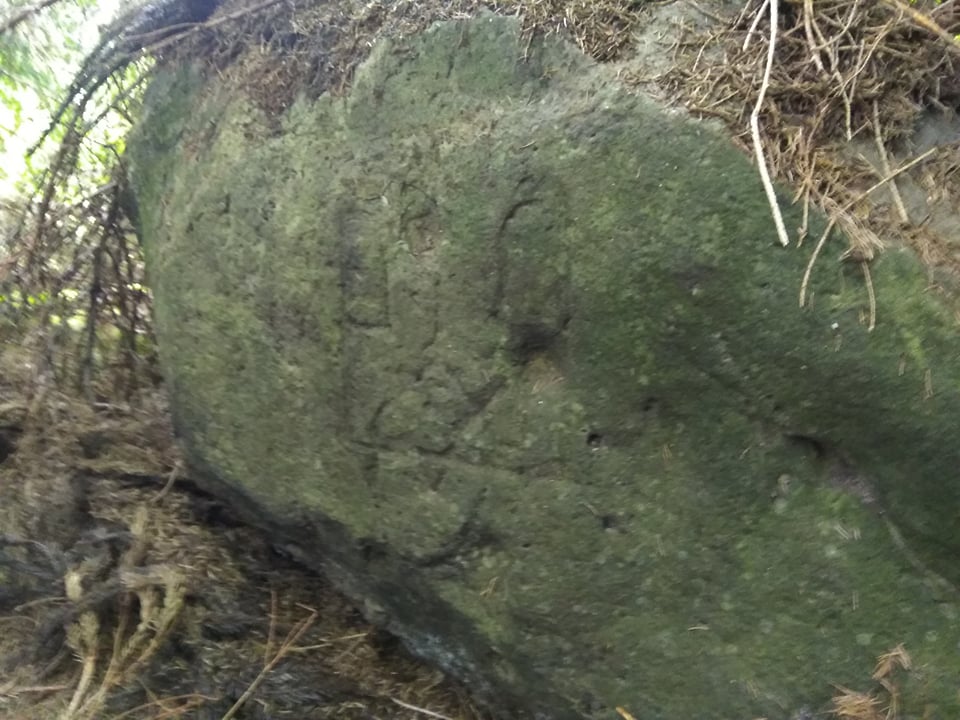 На Прикарпатті виявили столітні, вибиті на каменях зображення Тризуба ФОТОРЕПОРТАЖ