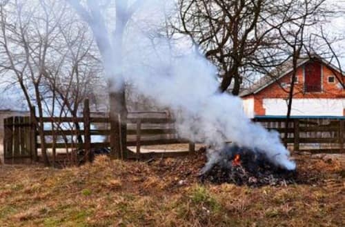 Франківців закликають не палити сухе листя та бур'ян