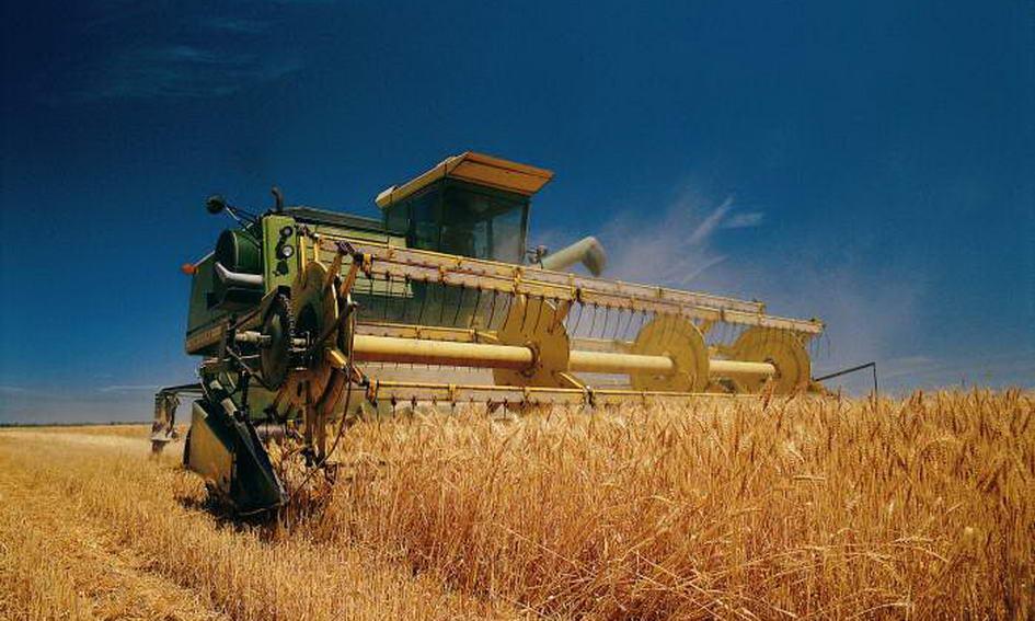 Прикарпатські аграрії намолотили понад 400 тисяч тонн збіжжя