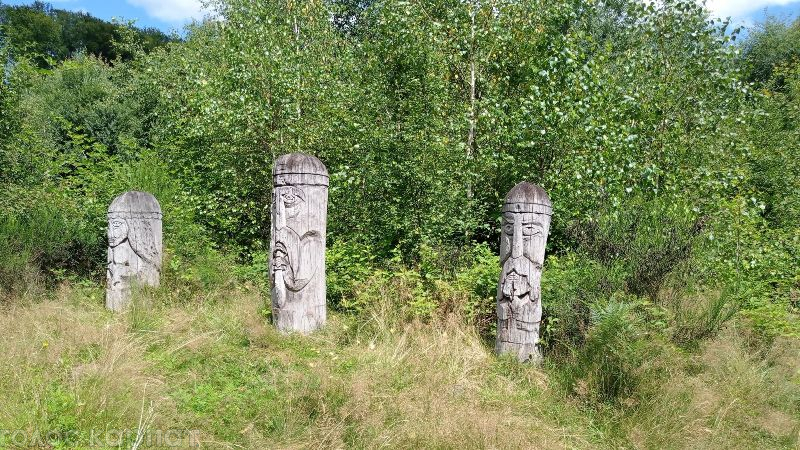 Дерев’яні ідоли та камінь-жертовник: у Карпатах знаходиться унікальне «Місце сили»