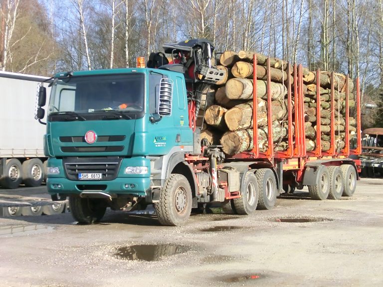 В Карпатах загорівся лісовоз