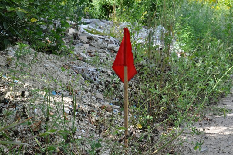 В селі на Коломийщині знову виявили та знешкодили майже півсотні вибухонебезпечних предметів