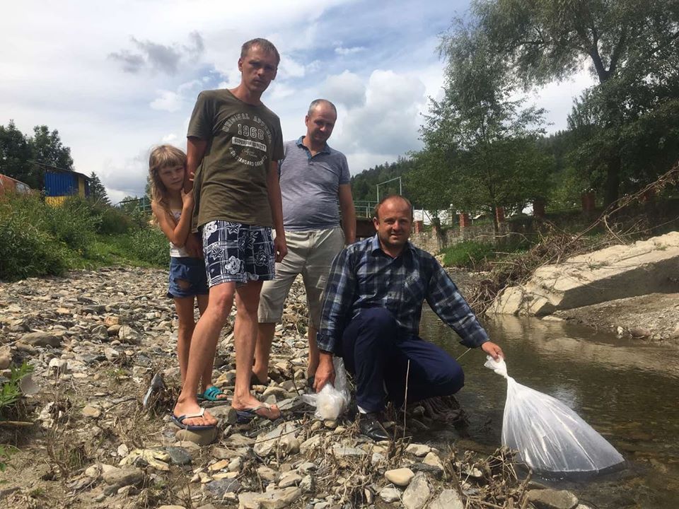 Ріки Прикарпаття зарибнили мальком струмкової форелі