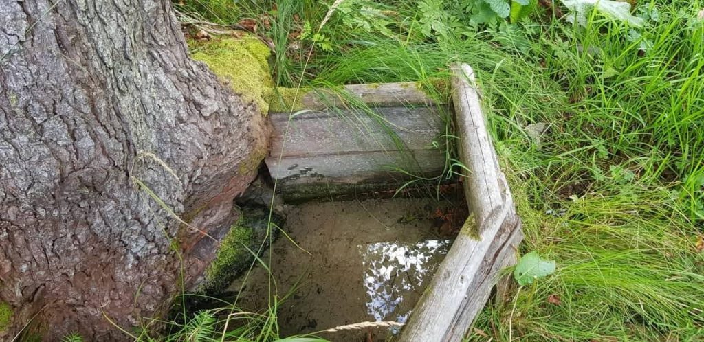 Запаси мінеральних вод виявили у Долинському районі