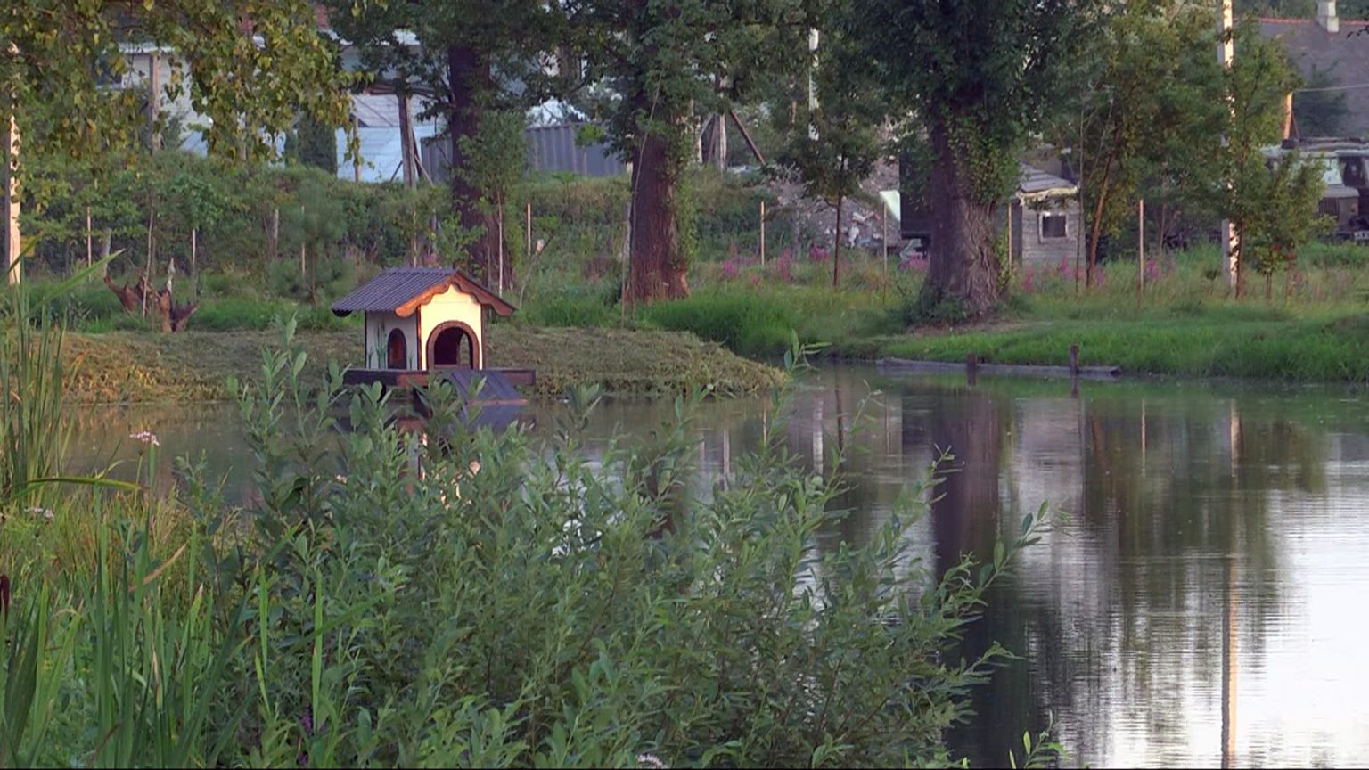 Ще одна зона відпочинку з'явилась у Коломиї ВІДЕО