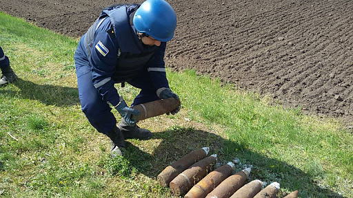 У прикарпатському селі піротехніки знешкодили вибухонебезпечні предмети