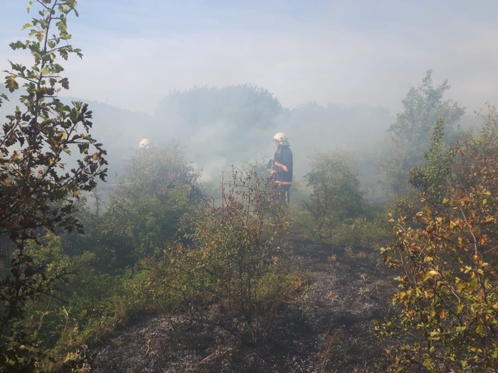 Вогонь знищив два гектари пшениці на Городенківщині ФОТО