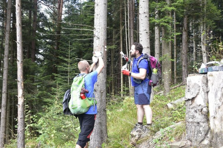 У Карпатах продовжують маркування туристичних маршрутів