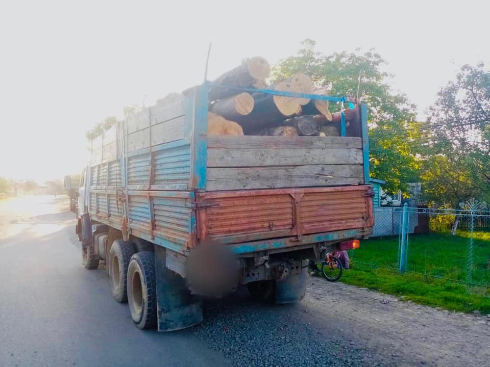 На Прикарпатті спіймали чоловіка, який перевозив дерево без документів