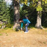 енергетики