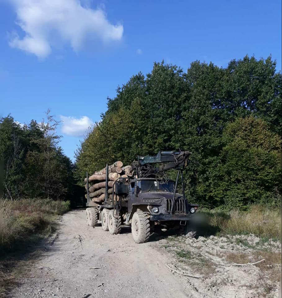 На Прикарпатті зупинили вантажівки із незаконно вирубаним лісом ФОТО