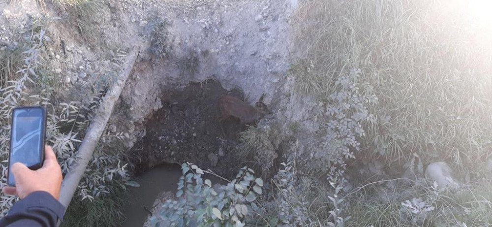 Прикарпатські надзвичайники провели спецоперацію порятунку козулі з ями ФОТО