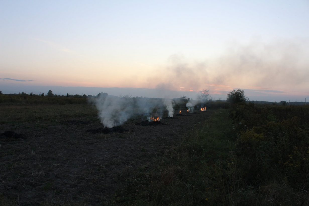 На Прикарпатті розшукують палійку трави, яка загубила вили