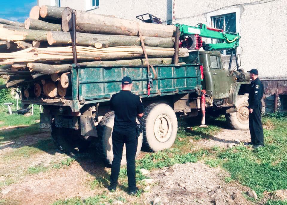 Поліціянти з Франківщини спіймали на «гарячому» крадія лісодеревини