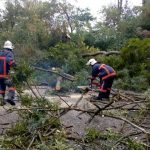 Рятувальники оперативно прибрали дерево, яке перекрило проїжджу частину дороги