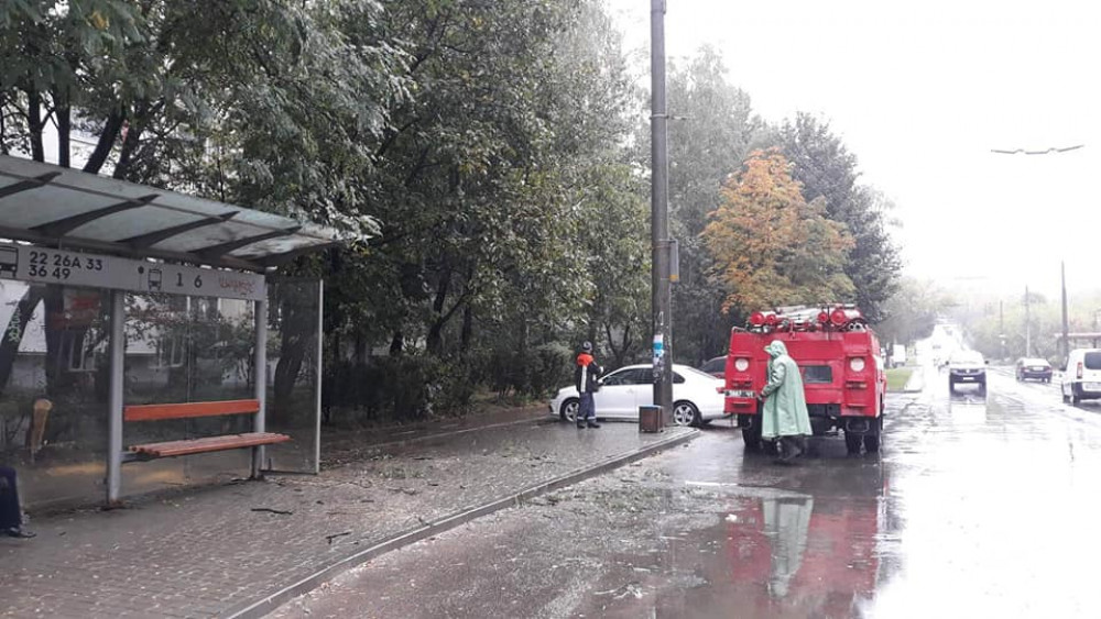 Сильний вітер у Франківську повалив дерево на зупинку ФОТО