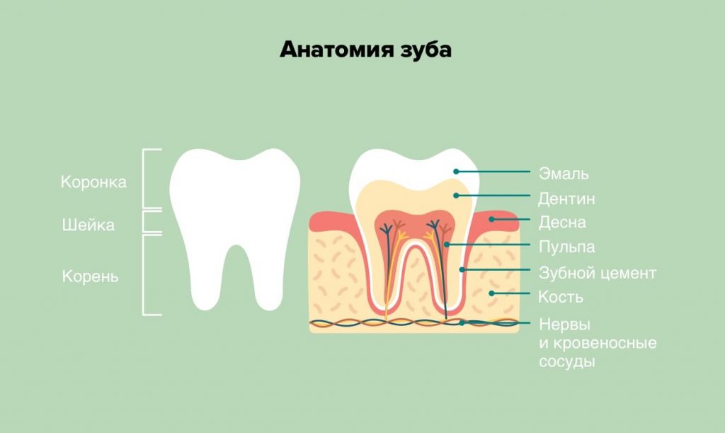 Как удаляют нерв из зуба?