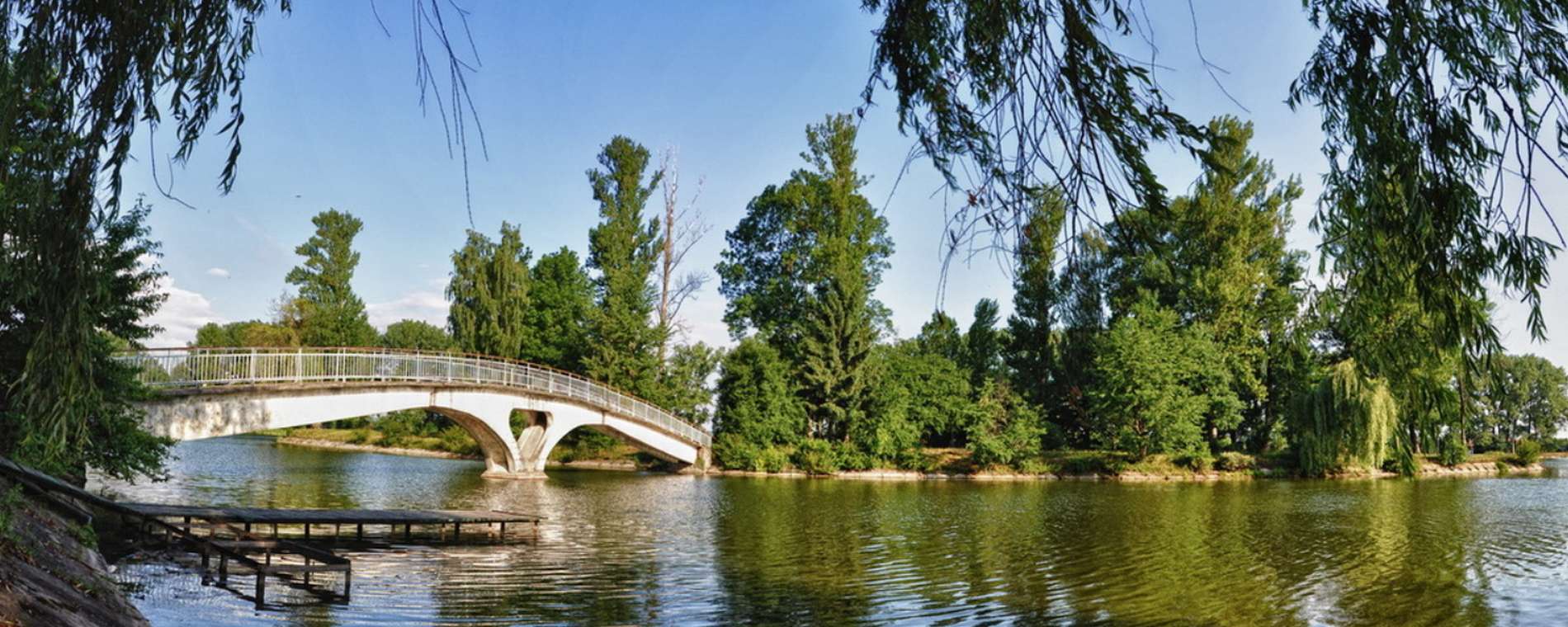 В Івано-Франківську взялися озеленювати територію біля міського озера