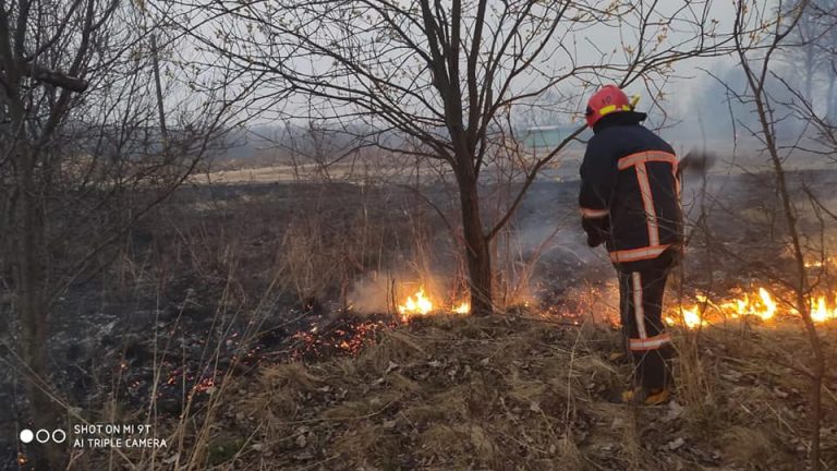 Попри заборони прикарпатці продовжують масово спалювати суху траву ВІДЕО