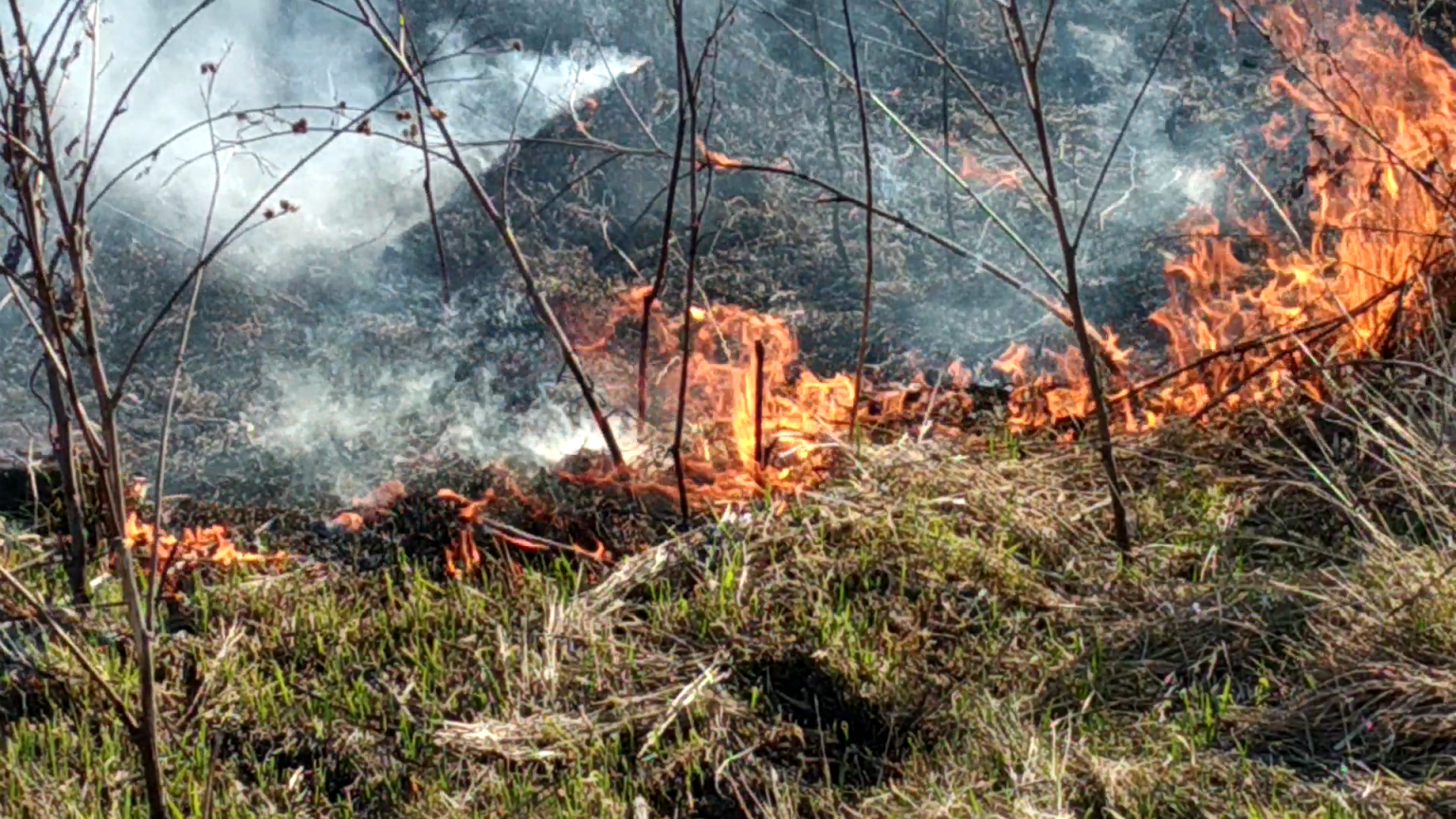 На Франківщині горіла суха трава та літня кухня