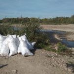 Прикарпатці долучилися до Всесвітнього дня прибирання та Міжнародного дня чистих берегів