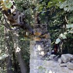 Виконавча служба демонтувала кам'яний мур кримінального авторитета «Бури», яким той незаконно захопив 3 гектари лісу ФОТО та ВІДЕО